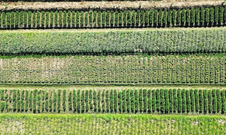Foto de Pequenas atitudes que ajudam a construir uma vida mais leve